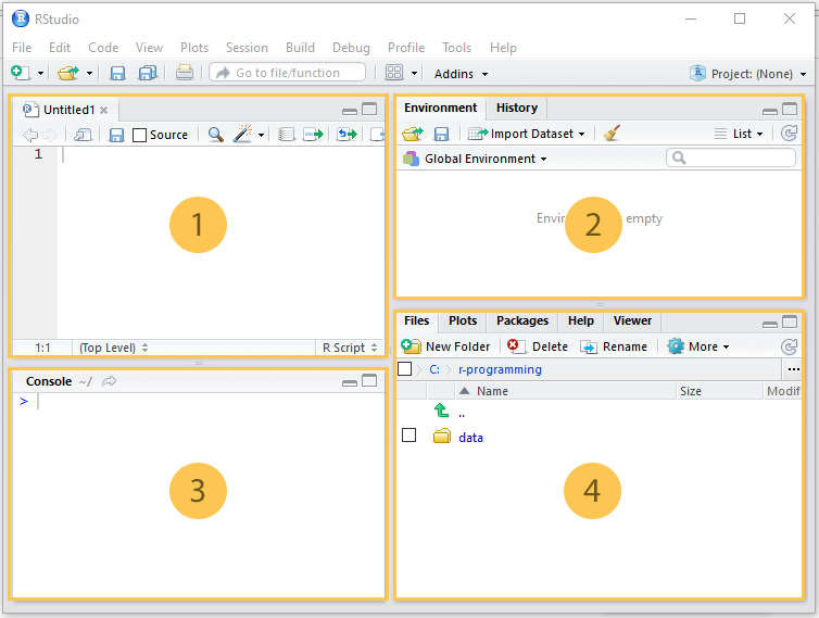 R Studio Interface