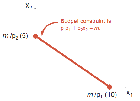 Budget Constraint