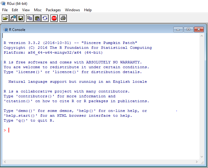 R Console